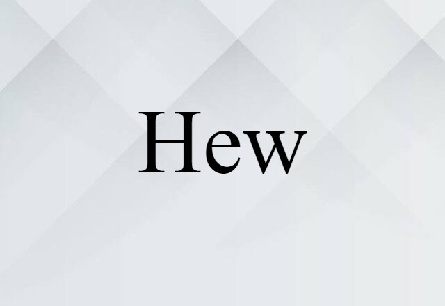 Hew (noun) Definition, Meaning & Examples