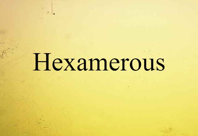 Hexamerous (noun) Definition, Meaning & Examples