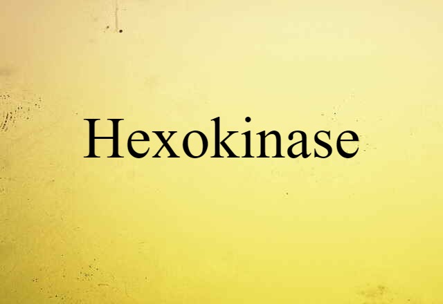 Hexokinase (noun) Definition, Meaning & Examples