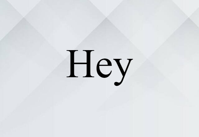 Hey (noun) Definition, Meaning & Examples