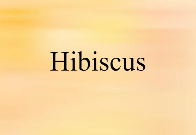 Hibiscus (noun) Definition, Meaning & Examples