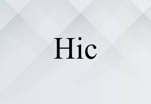 Hic (noun) Definition, Meaning & Examples