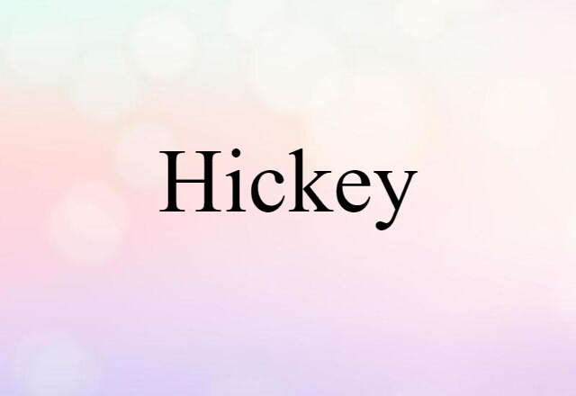 Hickey (noun) Definition, Meaning & Examples