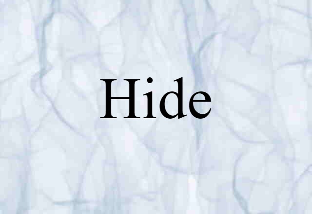 Hide (noun) Definition, Meaning & Examples