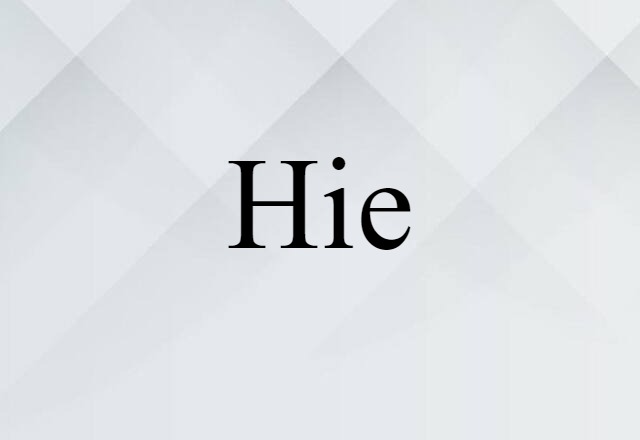 Hie (noun) Definition, Meaning & Examples