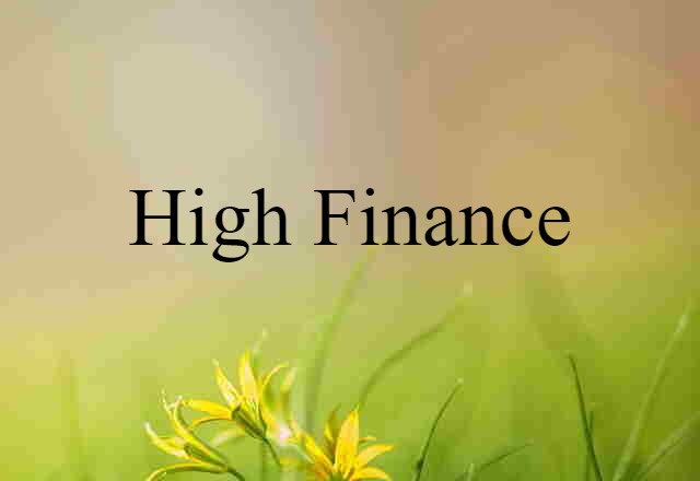 High Finance (noun) Definition, Meaning & Examples