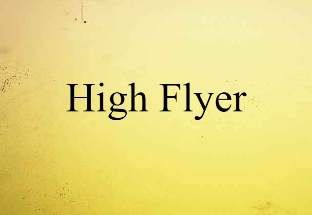 High Flyer (noun) Definition, Meaning & Examples