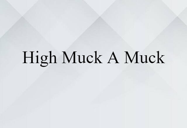 High-muck-a-muck (noun) Definition, Meaning & Examples