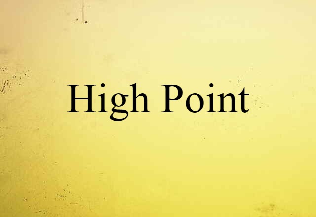 High Point (noun) Definition, Meaning & Examples