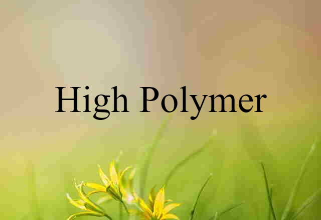 High Polymer (noun) Definition, Meaning & Examples