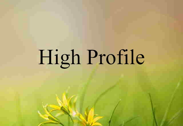 High Profile (noun) Definition, Meaning & Examples