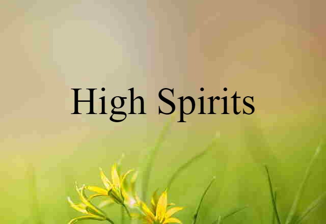 High Spirits (noun) Definition, Meaning & Examples