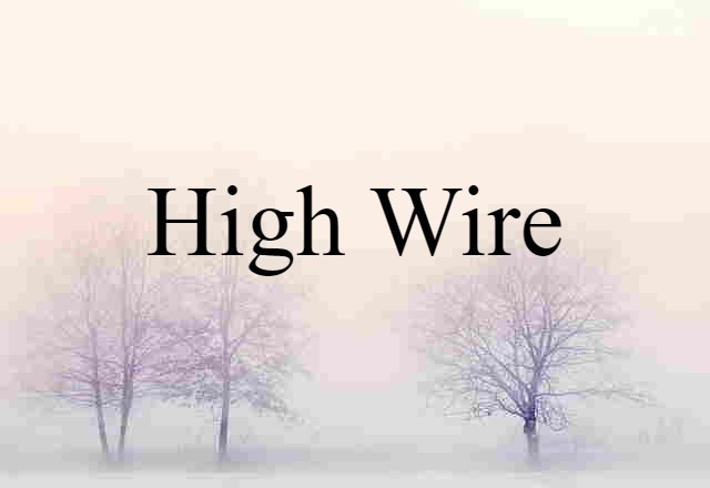 High Wire (noun) Definition, Meaning & Examples