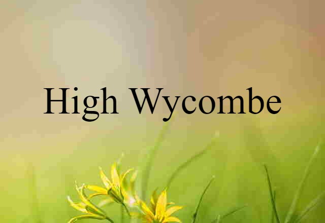 High Wycombe (noun) Definition, Meaning & Examples