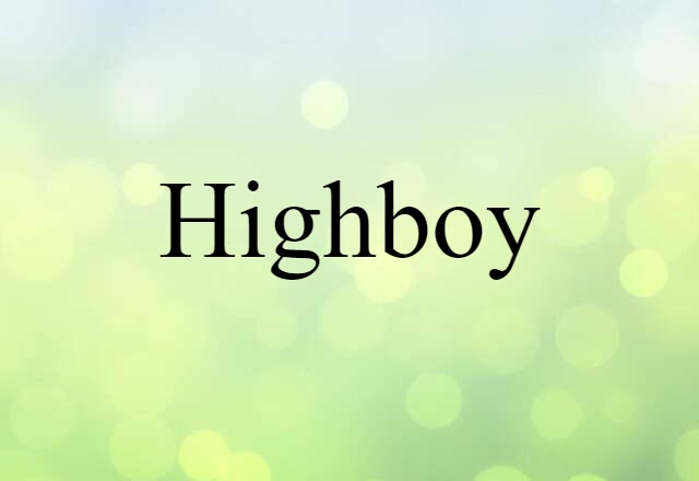 Highboy (noun) Definition, Meaning & Examples