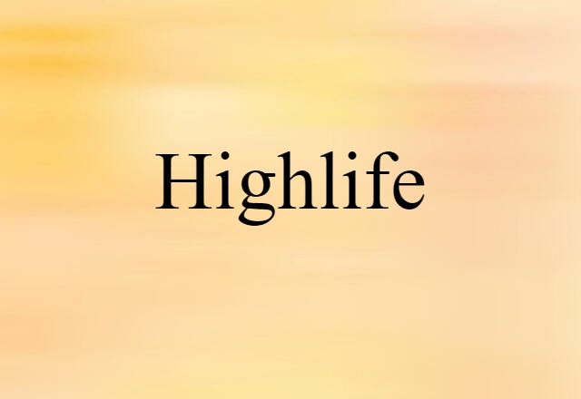 Highlife (noun) Definition, Meaning & Examples