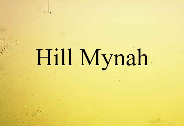 hill mynah