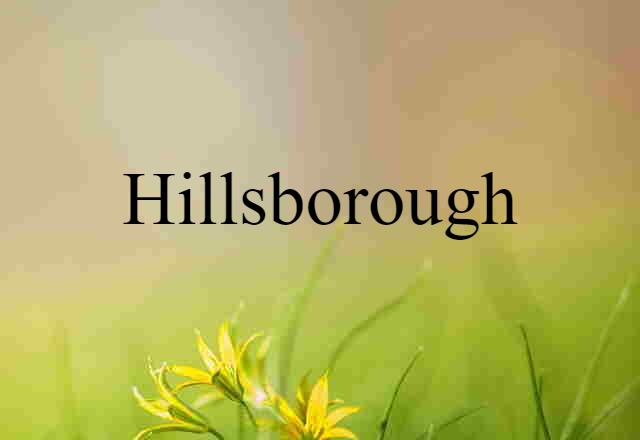 Hillsborough (noun) Definition, Meaning & Examples