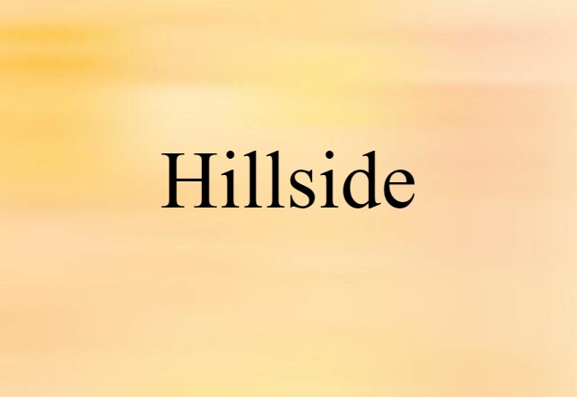 Hillside (noun) Definition, Meaning & Examples