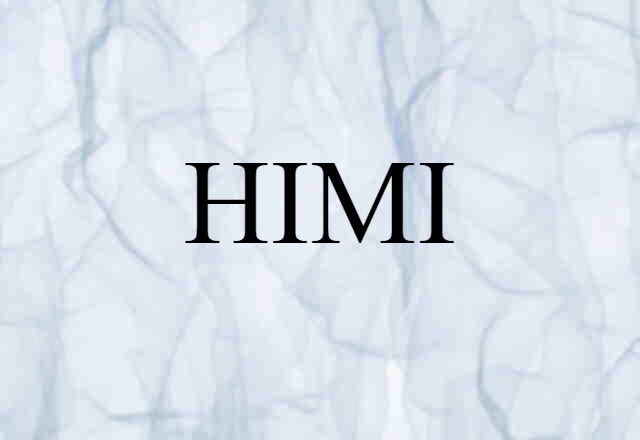 HIMI (noun) Definition, Meaning & Examples