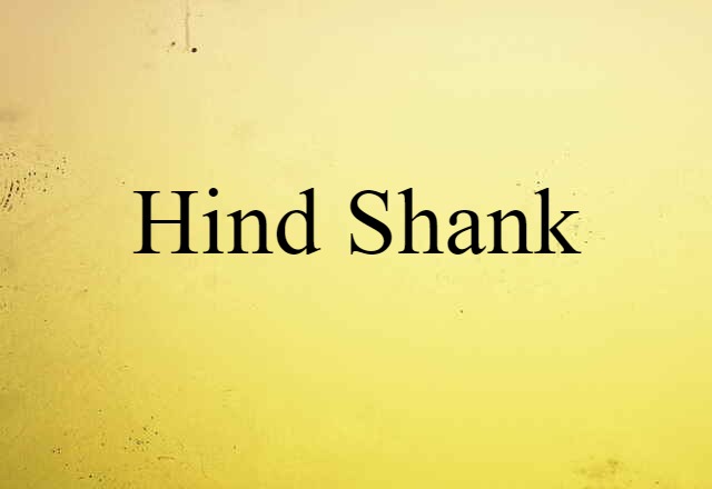 Hind Shank (noun) Definition, Meaning & Examples