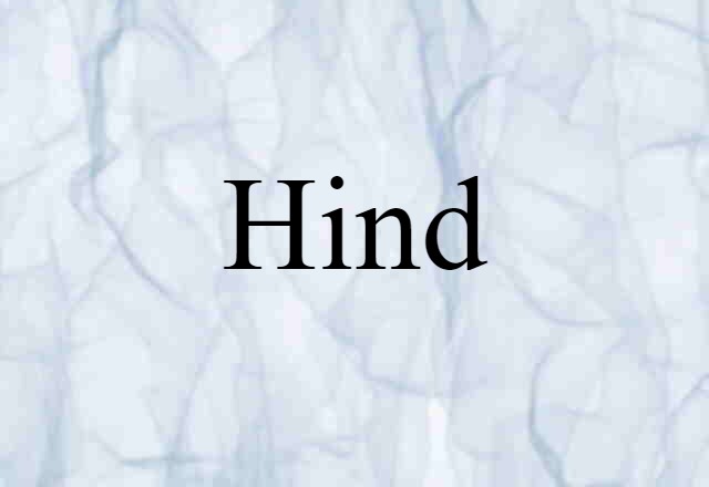 hind