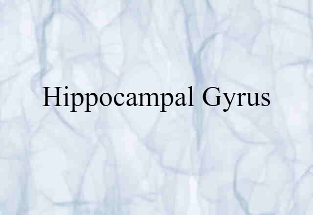 hippocampal gyrus