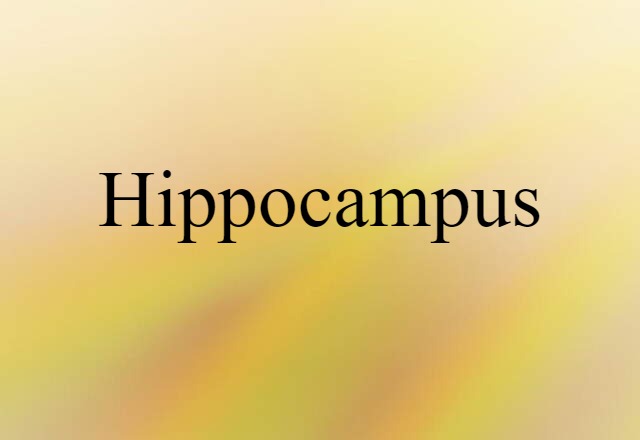 Hippocampus (noun) Definition, Meaning & Examples