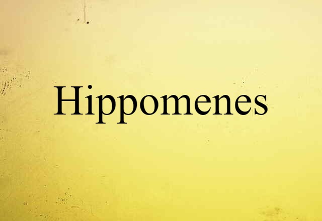 Hippomenes (noun) Definition, Meaning & Examples