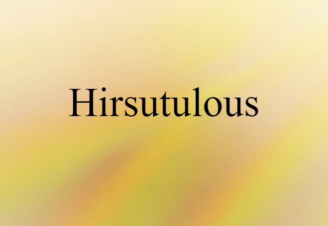 Hirsutulous (noun) Definition, Meaning & Examples