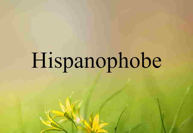 Hispanophobe (noun) Definition, Meaning & Examples