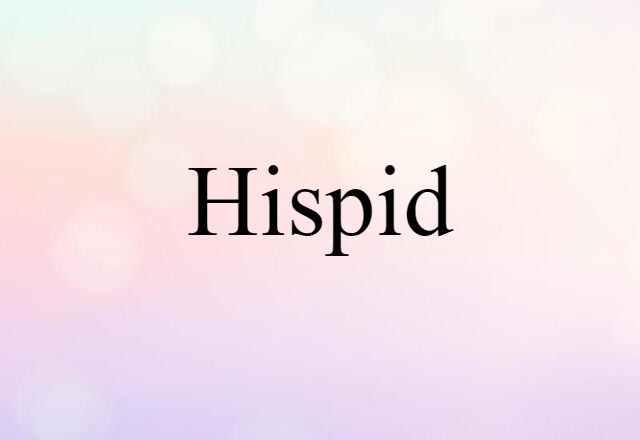 hispid