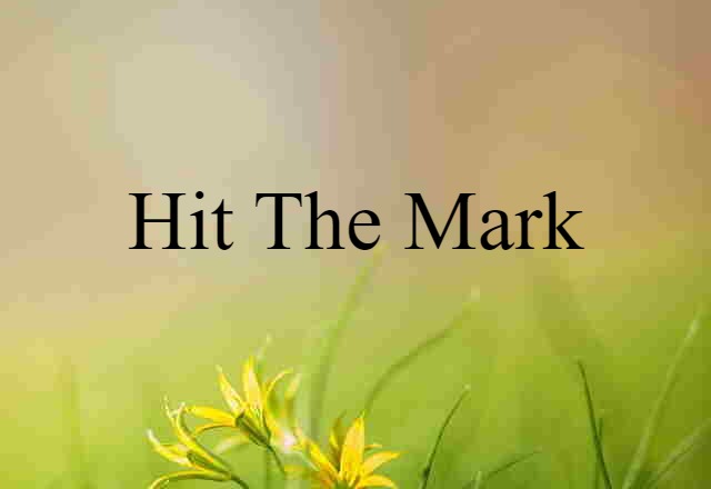 Hit The Mark (noun) Definition, Meaning & Examples