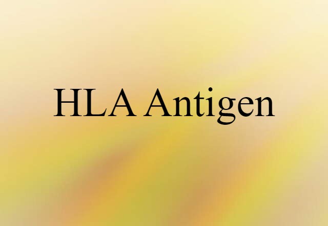 HLA Antigen (noun) Definition, Meaning & Examples