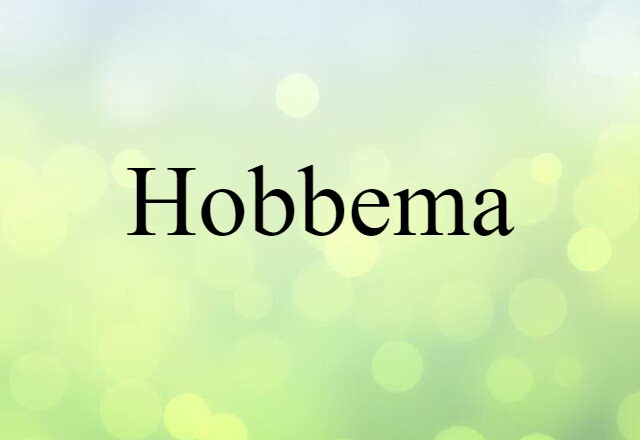 Hobbema (noun) Definition, Meaning & Examples