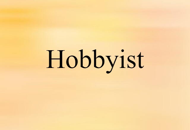 Hobbyist (noun) Definition, Meaning & Examples