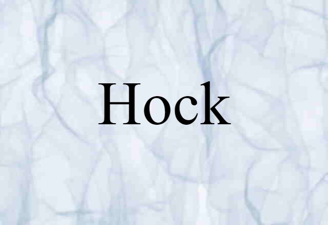 hock