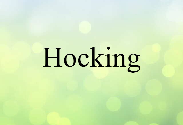 Hocking (noun) Definition, Meaning & Examples