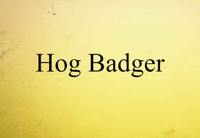 hog badger