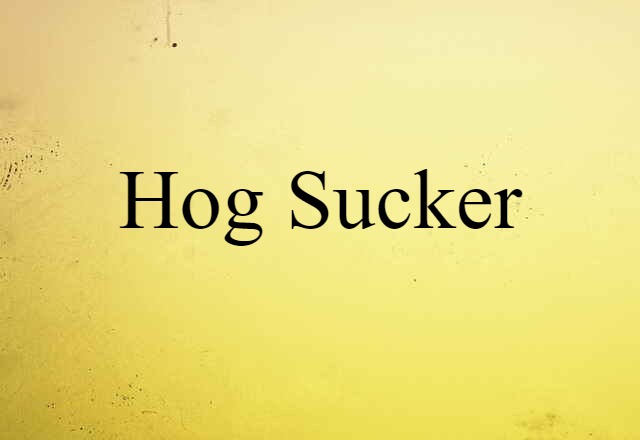 hog sucker