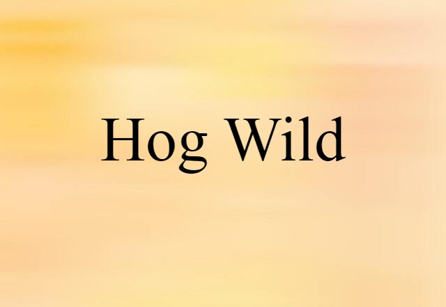 hog-wild