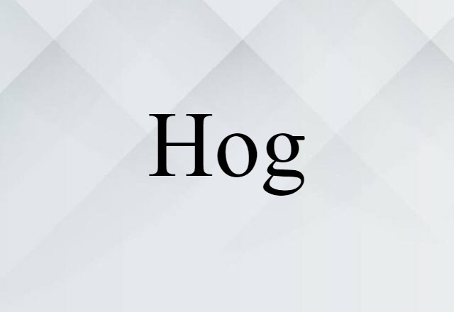 Hog (noun) Definition, Meaning & Examples