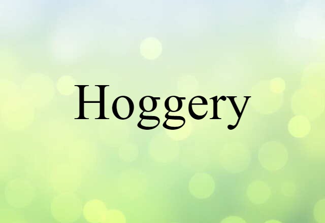 Hoggery (noun) Definition, Meaning & Examples