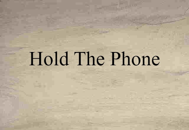 Hold The Phone (noun) Definition, Meaning & Examples