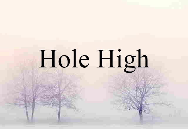 Hole High (noun) Definition, Meaning & Examples