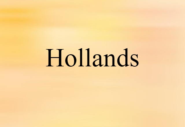 Hollands (noun) Definition, Meaning & Examples