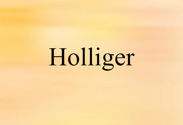 Holliger (noun) Definition, Meaning & Examples