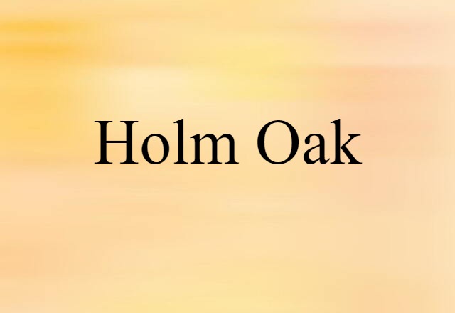 holm oak