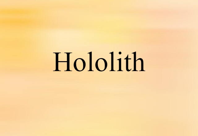 Hololith (noun) Definition, Meaning & Examples