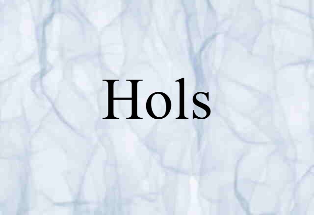 Hols (noun) Definition, Meaning & Examples